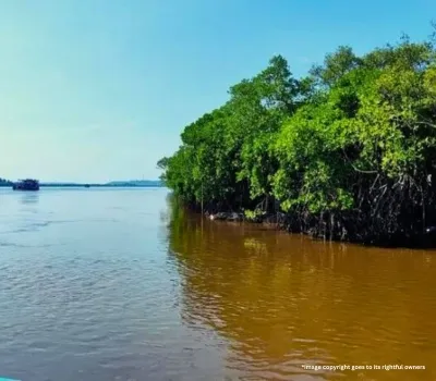 Boat Ride Through The Backwaters